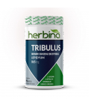 Herbina Tribulus Terrestris